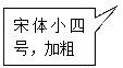 矩形标注: 宋體小四号，加粗