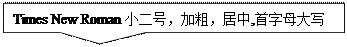 矩形标注: Times New Roman小二号，加粗，居中,首字母大寫