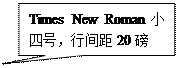 矩形标注: Times New Roman小四号，行間距20磅