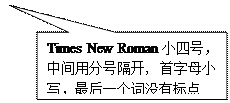 矩形标注: Times New Roman小四号，中間用分号隔開, 首字母小寫，最後一個詞沒有标點